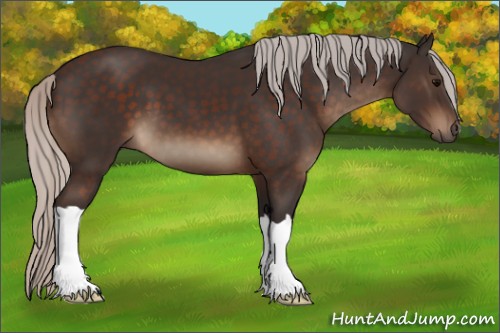 Horse Color:Silver Brown 