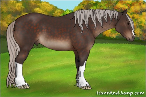 Horse Color:Silver Brown 