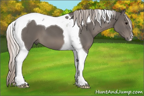 Horse Color:Silver Black Tobiano 