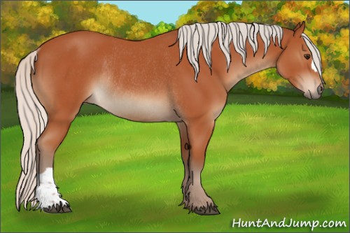 Horse Color:Silver Bay Rabicano 