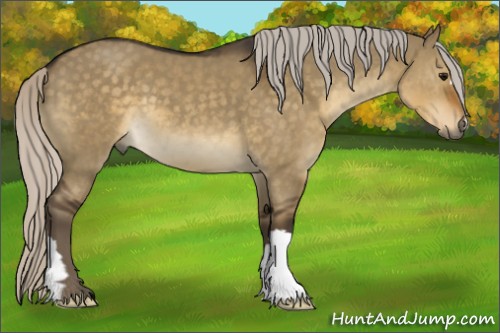 Horse Color:Silver Smoky Grullo 