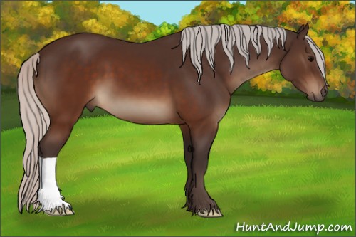 Horse Color:Silver Brown 