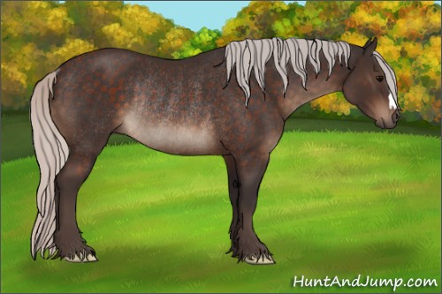 Horse Color:Silver Brown Rabicano 