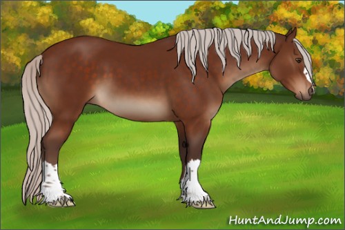Horse Color:Silver Brown 