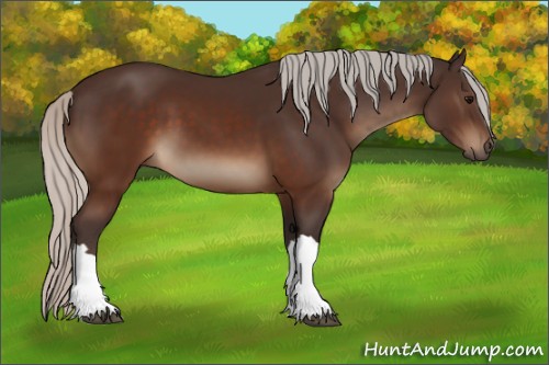 Horse Color:Silver Brown 