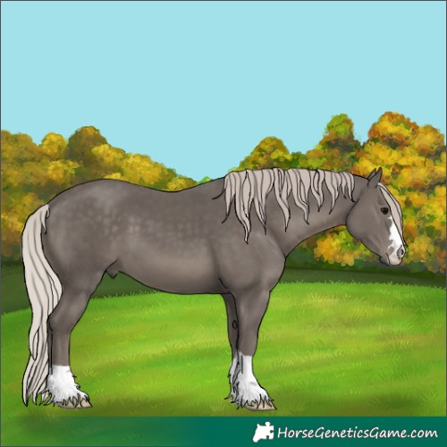 Horse Color:Silver Black 