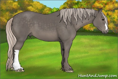 Horse Color:Silver Black 