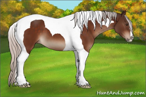 Horse Color:Silver Brown Tobiano 