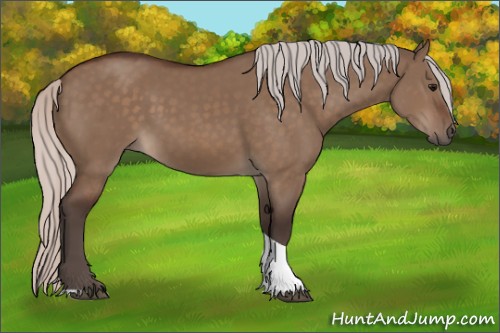 Horse Color:Silver Brown Dun Tobiano 