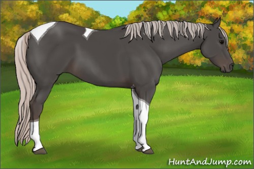 Horse Color:Silver Black Tobiano 