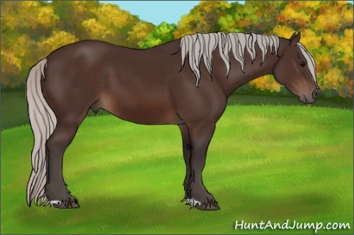 Horse Color:Silver Brown 