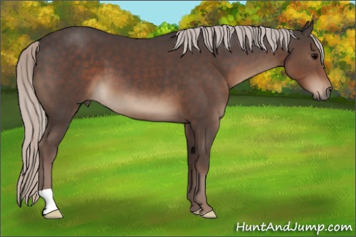 Horse Color:Silver Black 