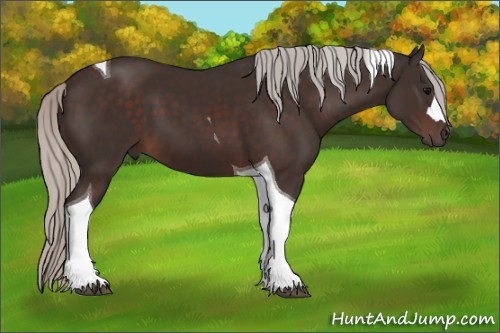 Horse Color:Silver Brown Tobiano 