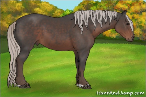 Horse Color:Silver Black 