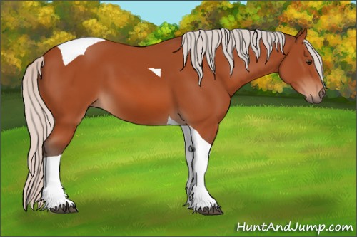 Horse Color:Silver Brown Tobiano 
