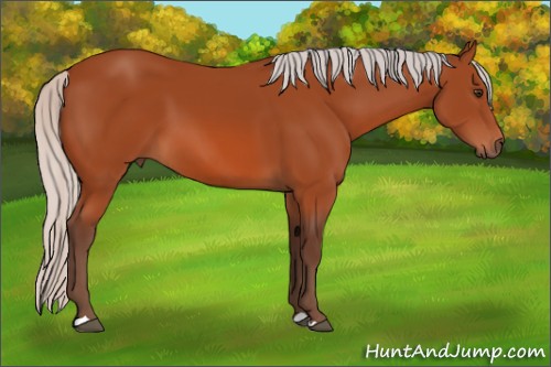Horse Color:Silver Brown 