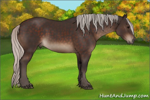 Horse Color:Silver Brown Sabino 