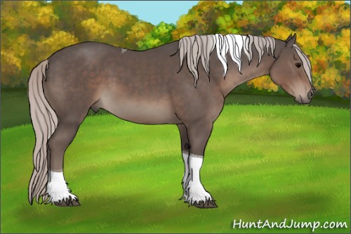 Horse Color:Silver Black Sabino Tobiano 