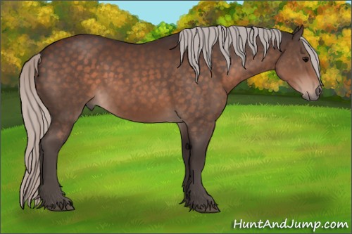 Horse Color:Silver Brown 