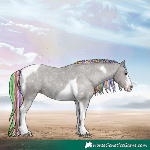 Horse Color:Painted White Spotted Silver Black Tobiano Appaloosa 