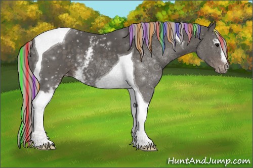 Horse Color:Painted White Spotted Silver Black Tobiano Appaloosa 