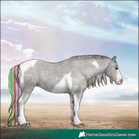 Horse Color:Painted White Spotted Silver Black Tobiano Appaloosa 