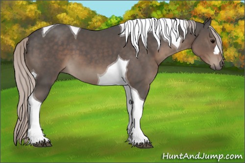 Horse Color:Silver Black Tobiano 