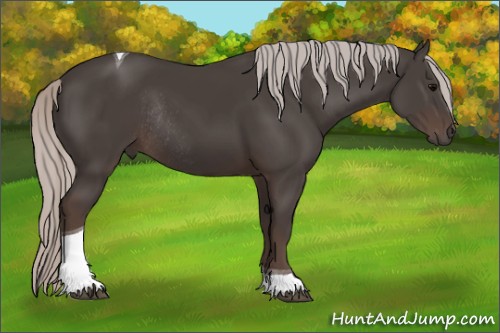 Horse Color:Silver Black Tobiano Rabicano 