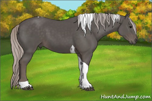 Horse Color:Silver Black Tobiano 