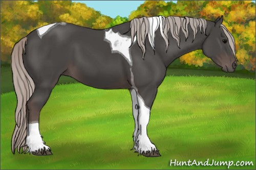 Horse Color:Silver Black Tobiano 