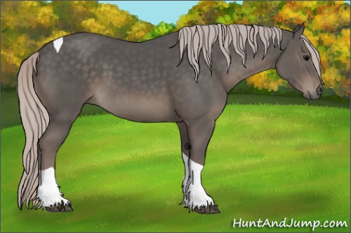 Horse Color:Silver Black Tobiano 