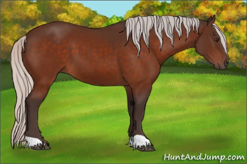 Horse Color:Silver Brown 