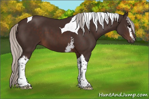 Horse Color:White Spotted Silver Brown Tobiano 