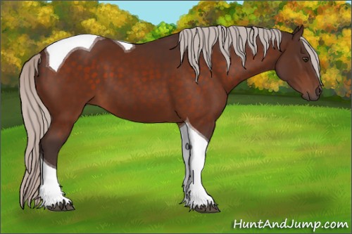 Horse Color:Silver Brown Tobiano 