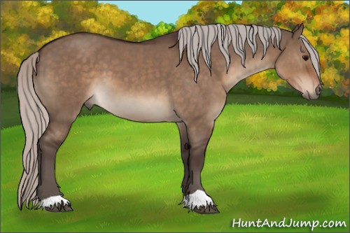 Horse Color:Silver Brown Dun 