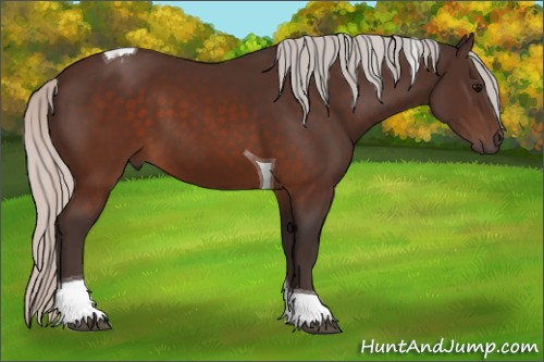 Horse Color:Silver Brown Tobiano 