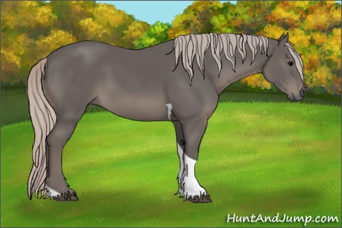 Horse Color:Silver Black Tobiano 