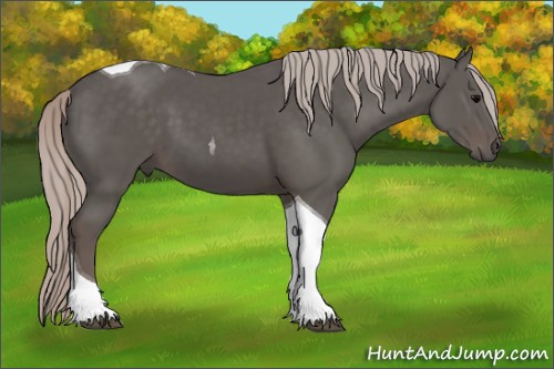 Horse Color:Silver Black Tobiano 