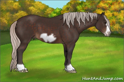 Horse Color:Silver Brown Frame 