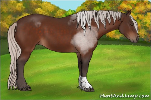 Horse Color:Silver Brown Tobiano 