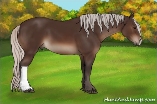 Horse Color:Silver Brown 