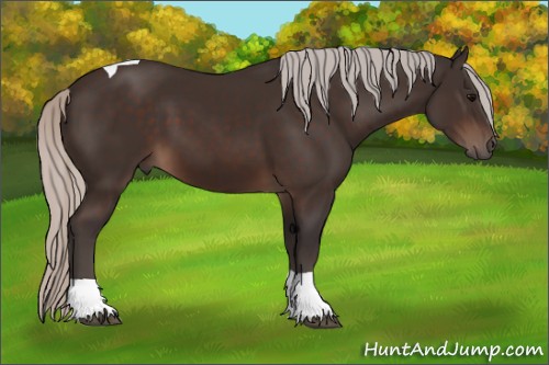 Horse Color:Silver Brown Tobiano 
