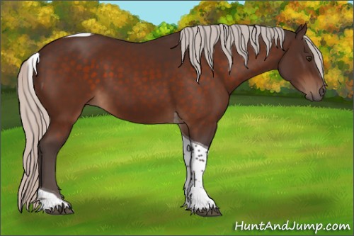 Horse Color:Silver Brown Tobiano 