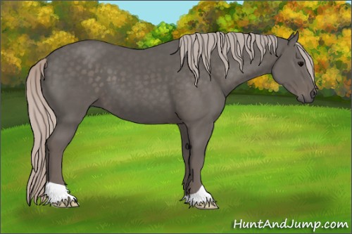 Horse Color:Silver Black 