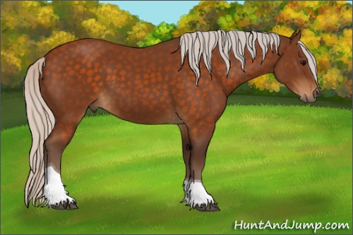 Horse Color:Silver Buckskin Tobiano 
