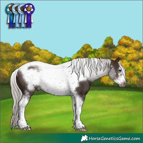 Horse Color:Silver Brown Sabino Tobiano Frame Rabicano 