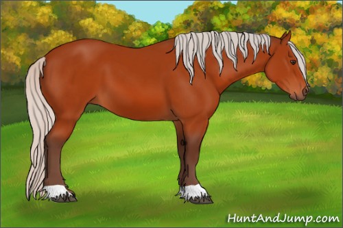 Horse Color:Silver Brown 