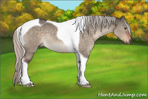 Horse Color:Silver Brown Dun Tobiano 