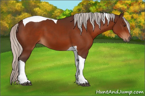 Horse Color:Silver Brown Tobiano 