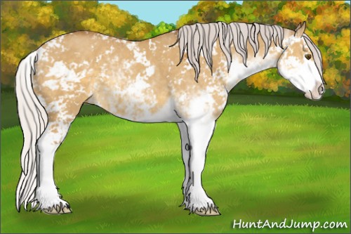 Horse Color:Chocolate Silver Buckskin Dun Sabino 